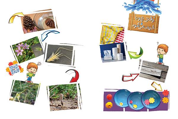 وقتی چوب خیس می‌‌شود