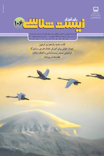پاییزتان بهاری باد!