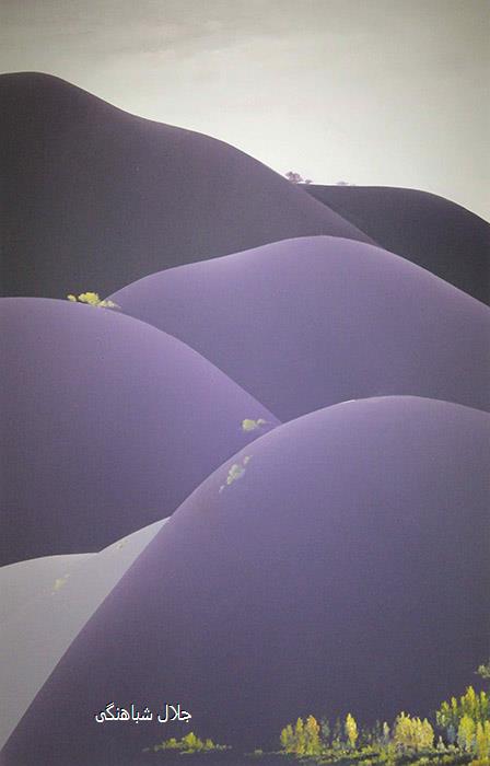 جلال شباهنگی