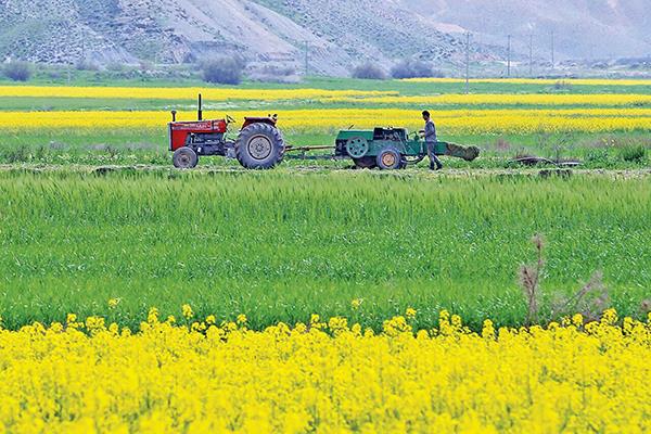 کوچک مشاور