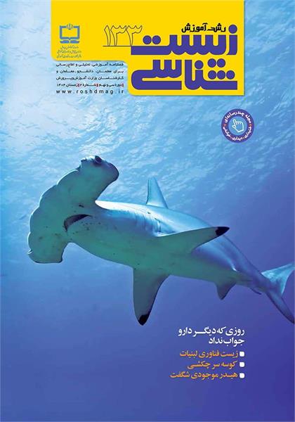 روزی که دارو دیگر جواب نداد