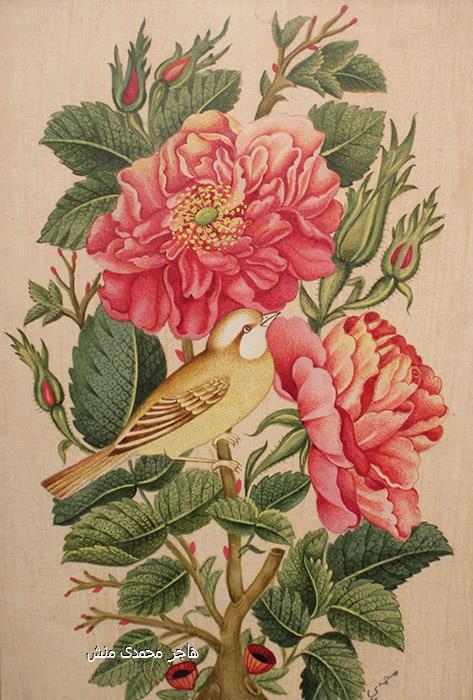 هاجر محمدی منش