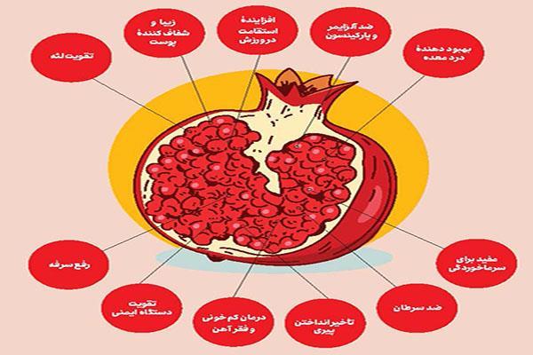 انار؛ داروخانه سیار