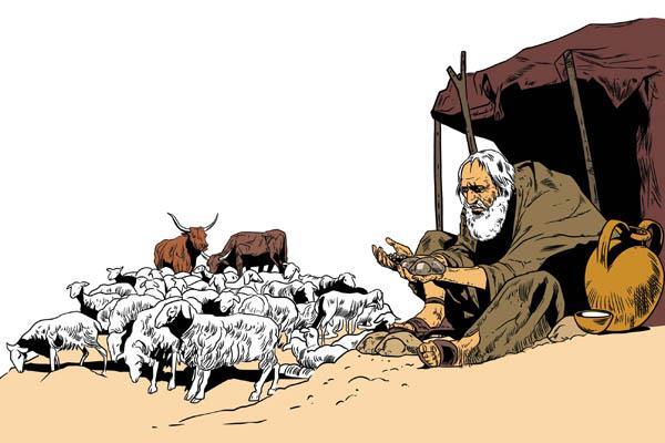 عددها وارد می‌شوند!