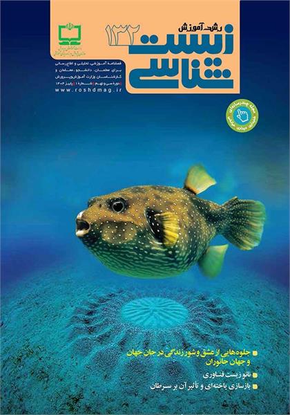 جلوه‌هایی از عشق و شور زندگی در جان جهان و جهان جانوران