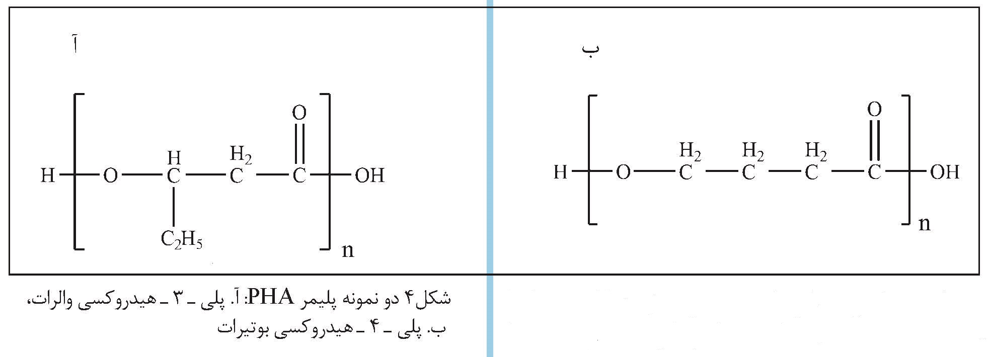 پلاستیک ها را سبز کنیم