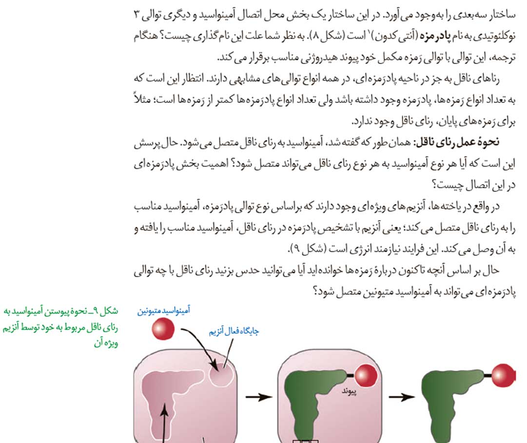 بازتاب
