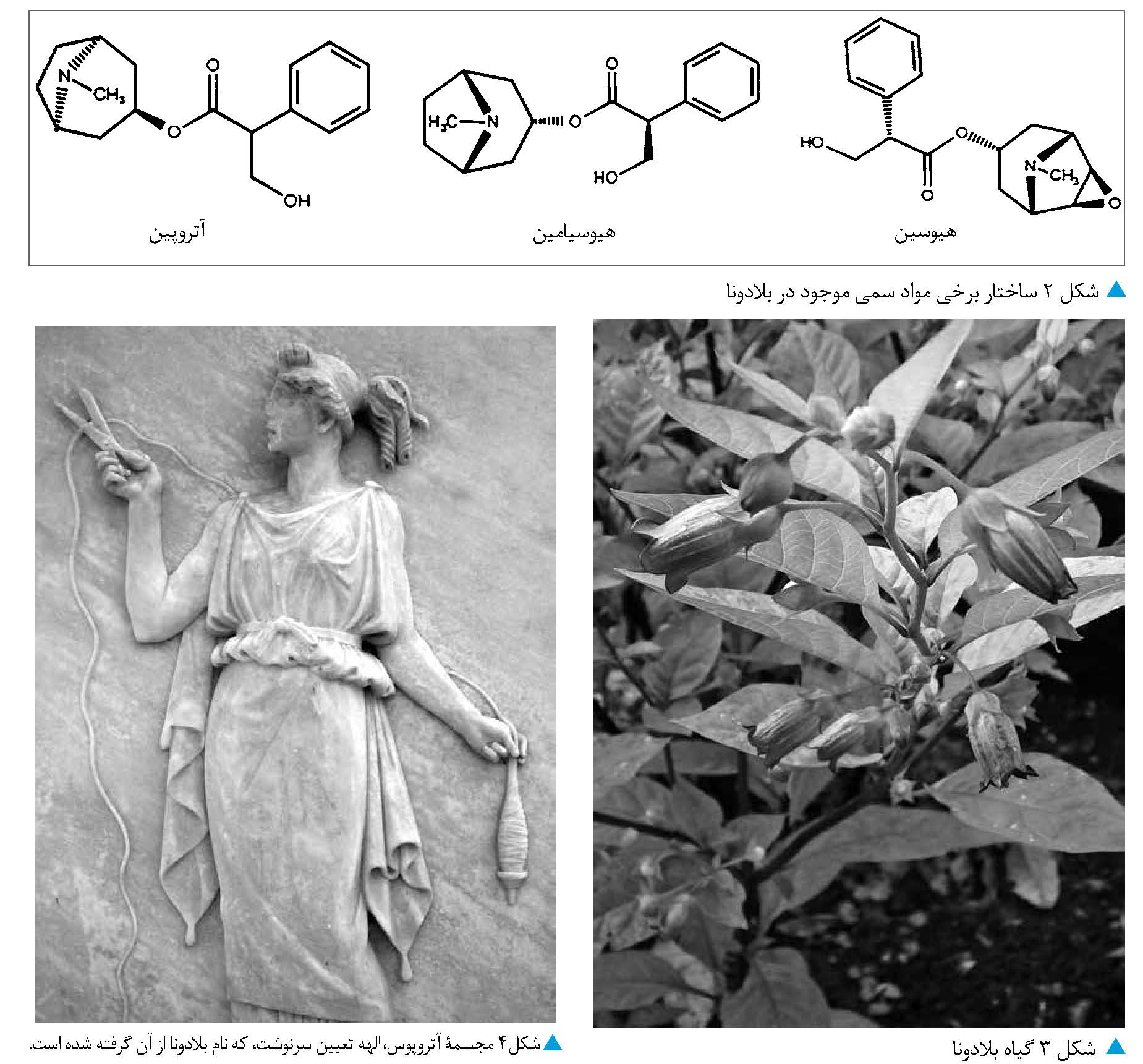 درمانگر یا مرگ آور، مسئله این است: مقدار
