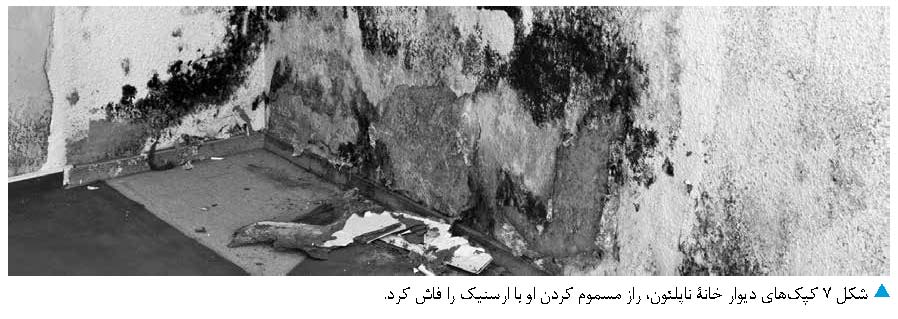 درمانگر یا مرگ آور، مسئله این است: مقدار