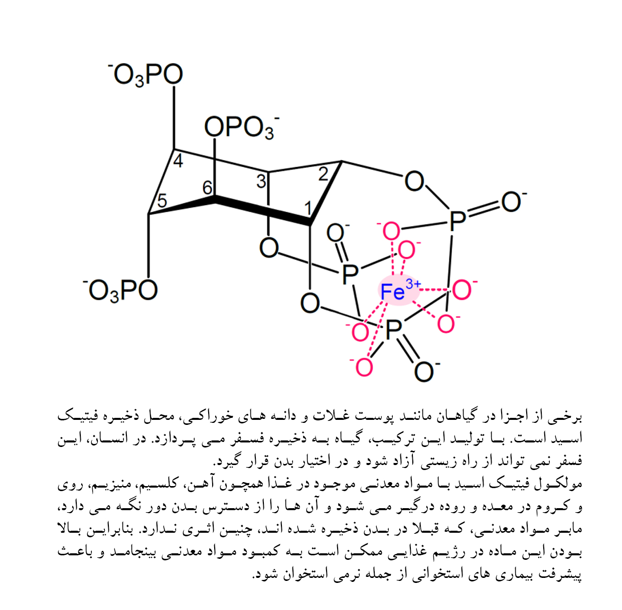 چالش بادام زمینی؛ گذرگاه تندرستی یا پرتگاه نیستی
