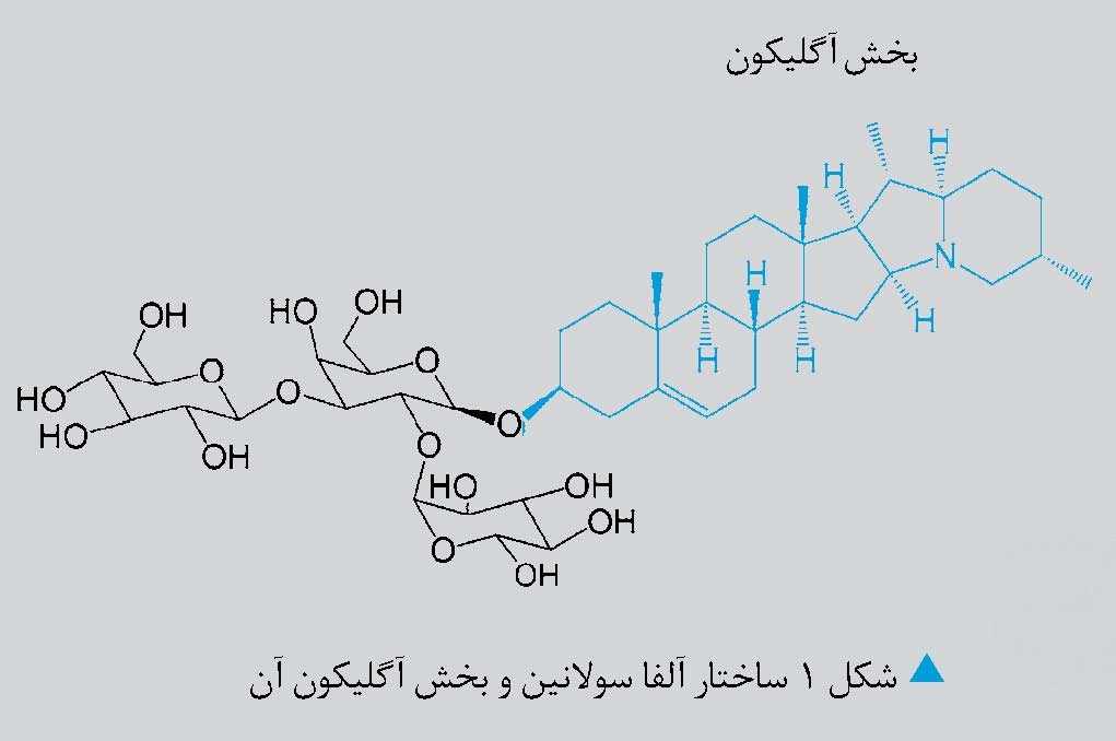 گلیکو آلکالوییدها؛ سمی در سیب زمینی