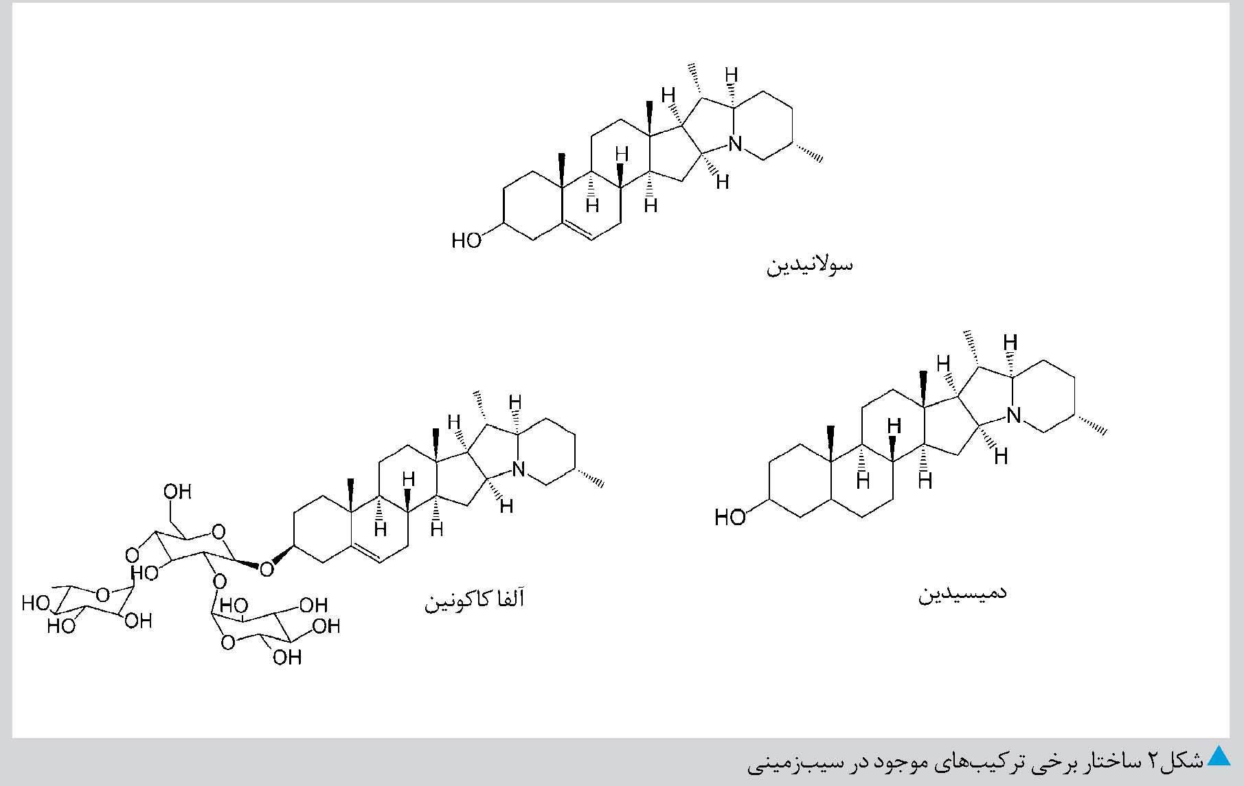 گلیکو آلکالوییدها؛ سمی در سیب زمینی