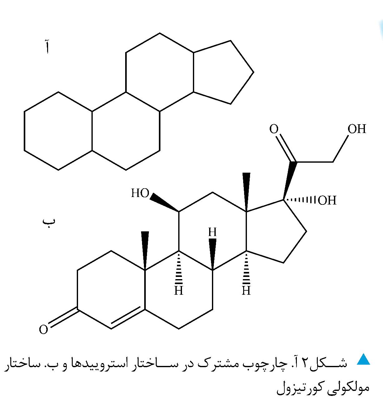 مسیر شیمیایی کنترل نگرانی