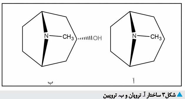 آنگاه که علم اهلی می کند