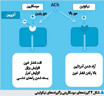 آنگاه که علم اهلی می کند