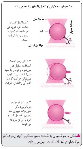 ابزارهای ساخته از نور
