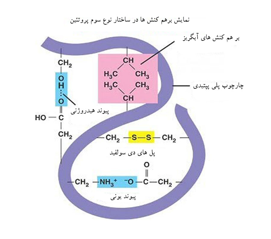 ابریشم؛ الیافی پروتئینی