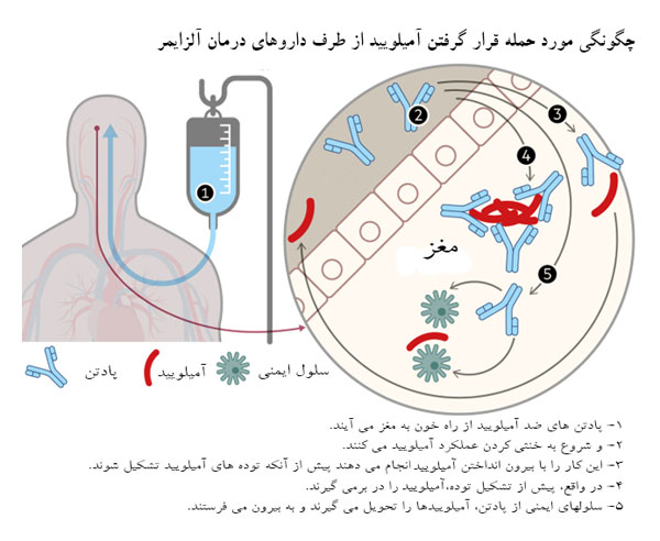 گالانتامین؛ از اودیسه تا آلزایمر