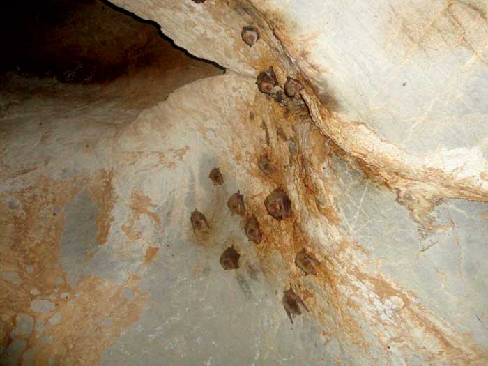 غار کونا شَمشَم