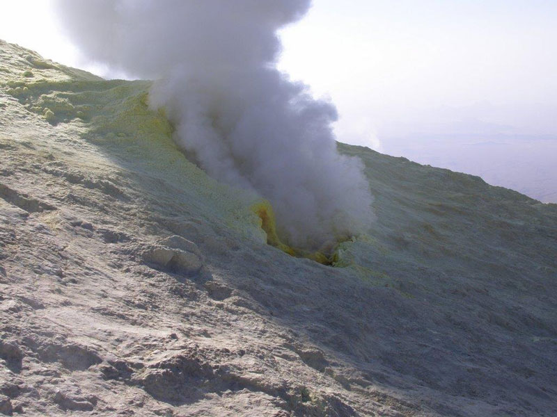 داروخانه ‌ای به وسعت زمین