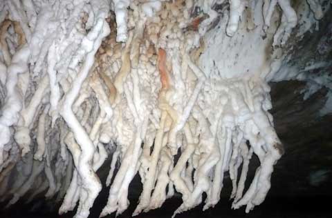 داروخانه ‌ای به وسعت زمین