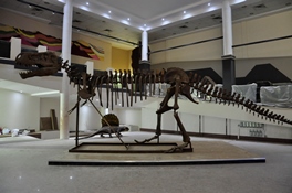 موزه علوم ‌زمین اداره کل زمین‌ شناسی و اکتشافات معدنی منطقه شمال شرق کشور