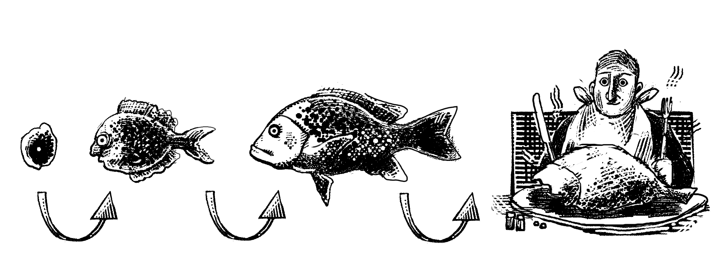 ماهی های بزرگ