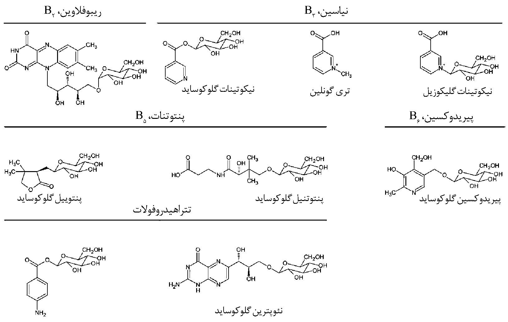 ساختار ویتامین های ب
