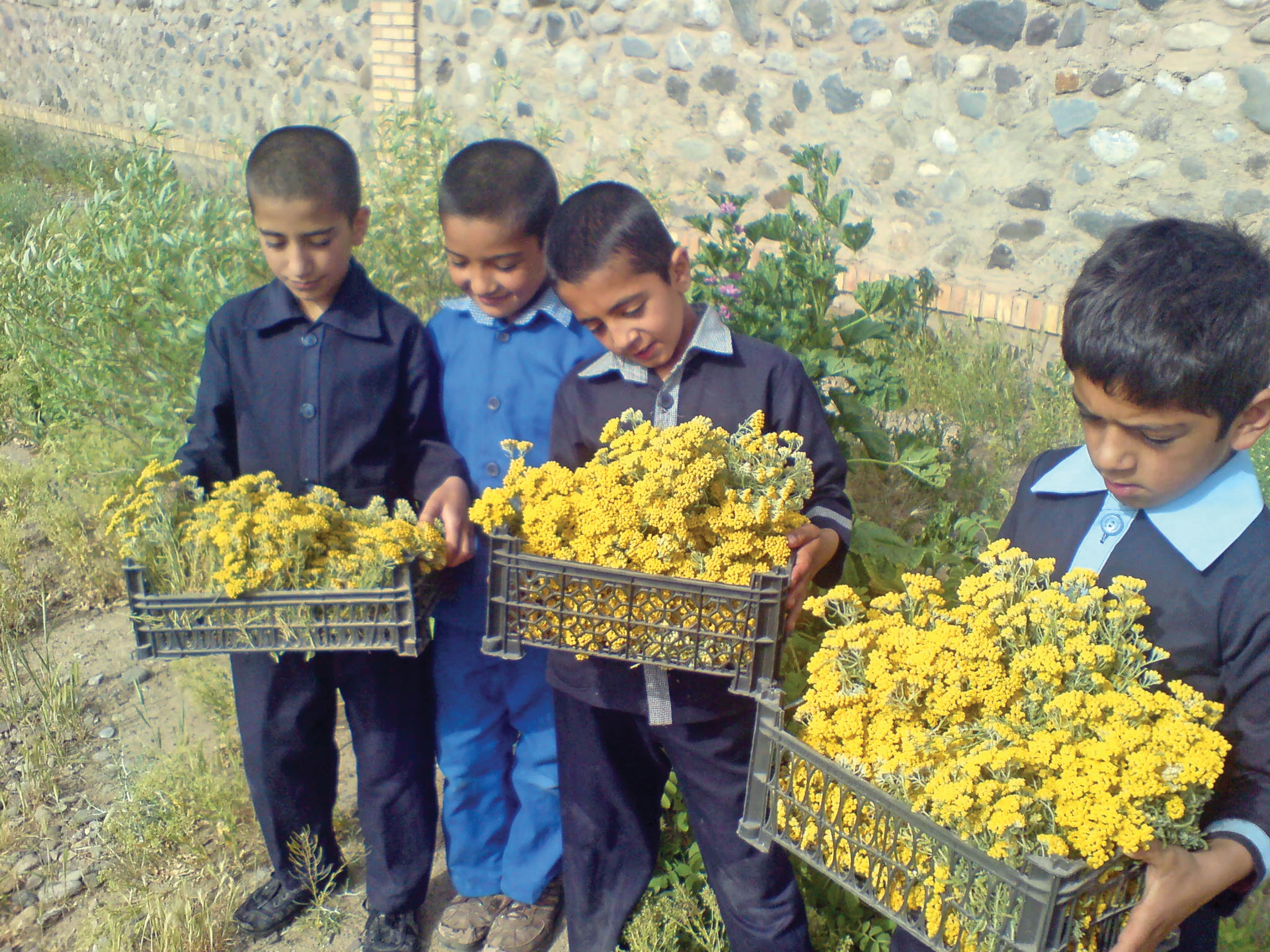 مدرسه چندپایه خلیل آباد