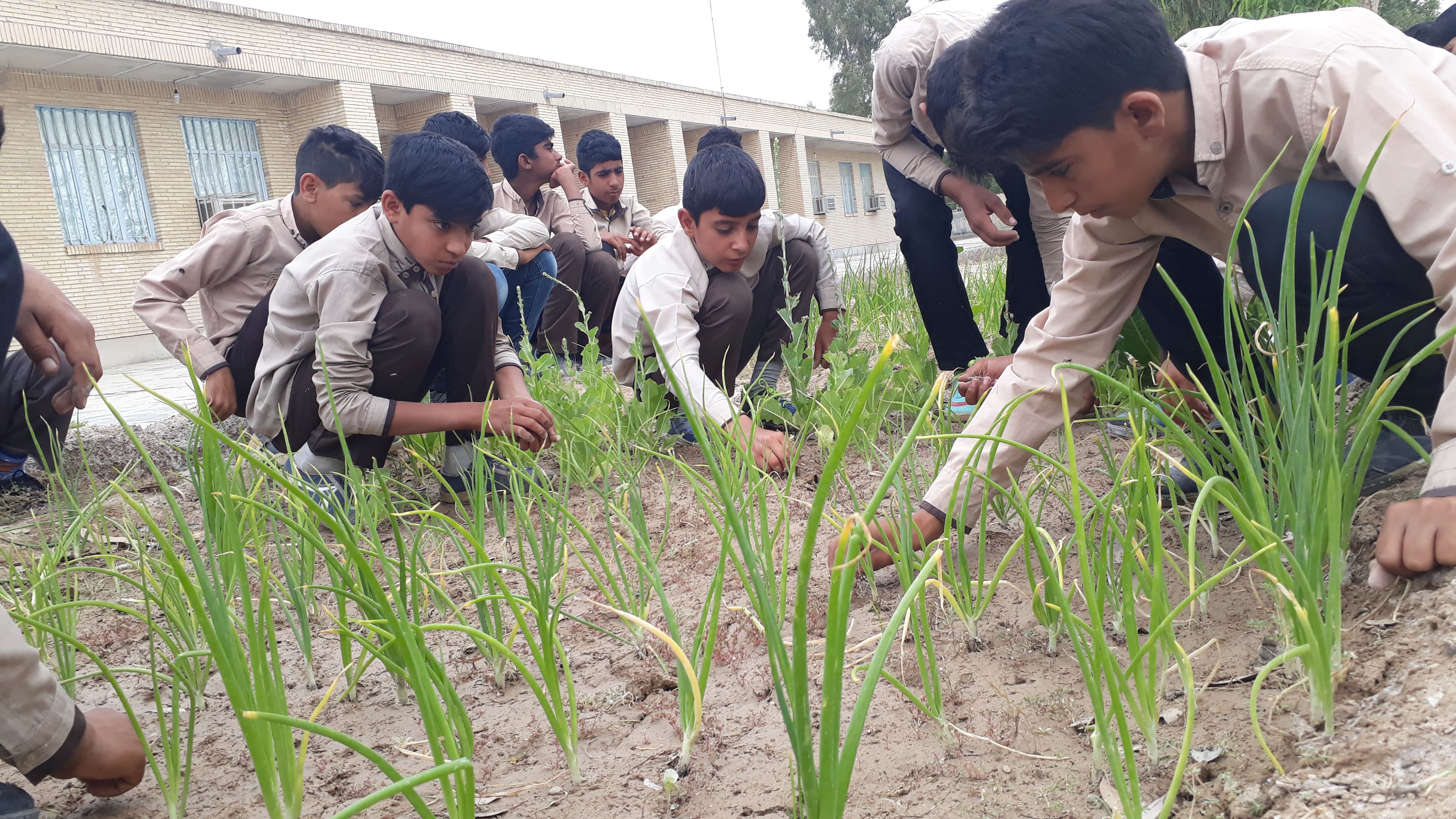 مدرسه شبانه‌ روزی شهید رجایی
