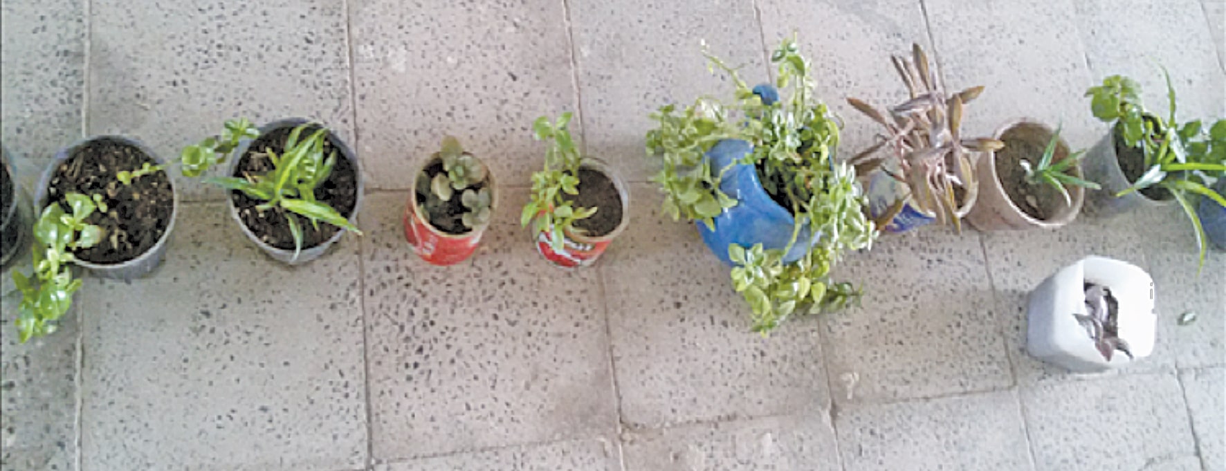 آموزشگاه متوسطه اول شهدای پسرانه پیرتاج