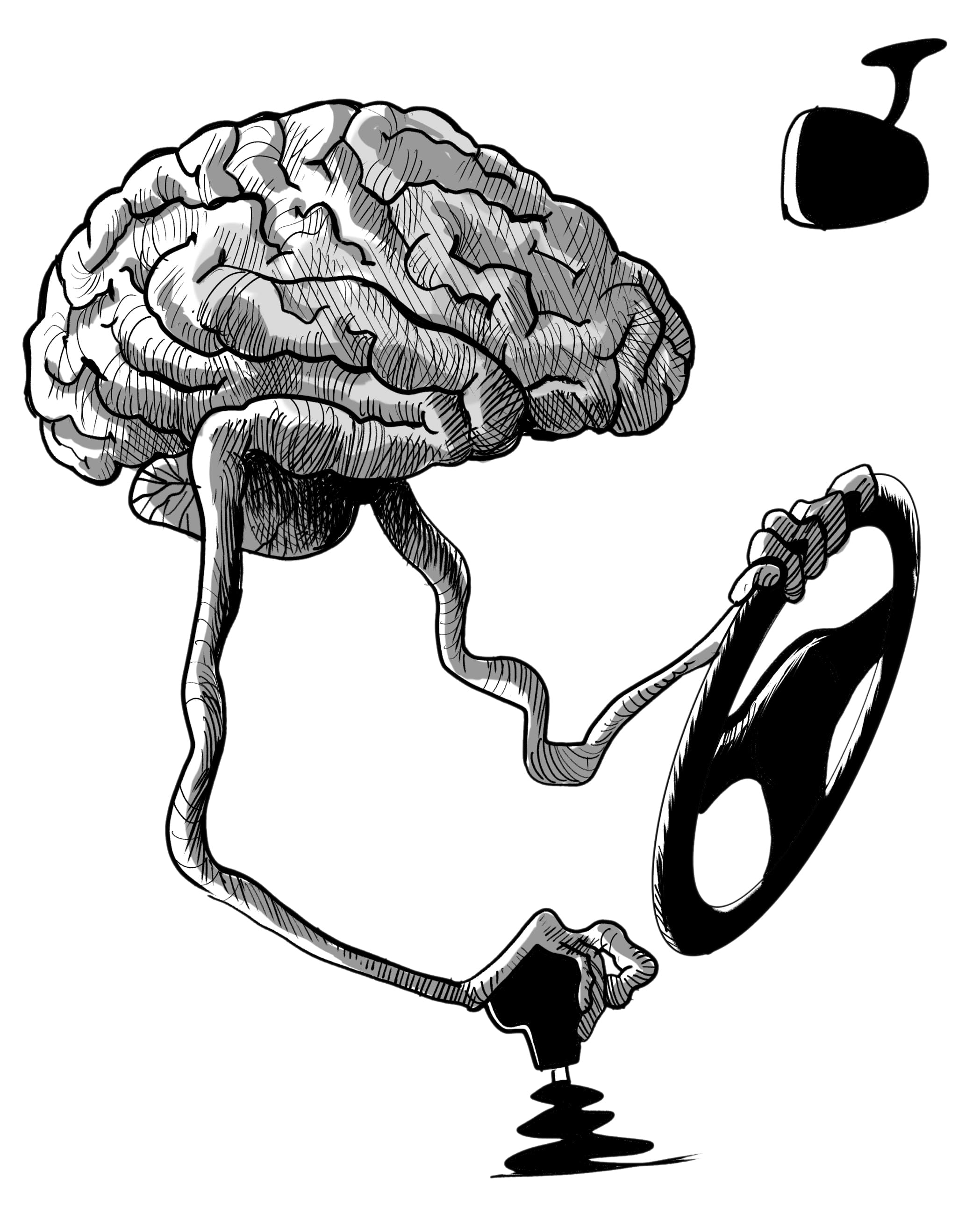 ذهن,مغز,تربیت