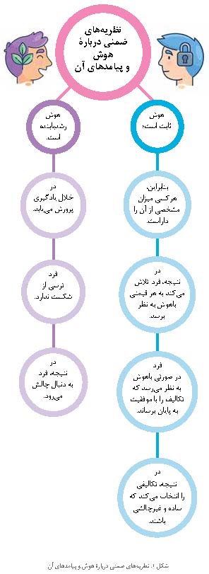 نظریه های ضمنی درباره هوش