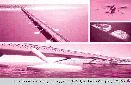 زیست فنی،‌ کمال پیوند علم و طبیعت