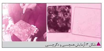 آزمایش دگرچسبی و همچسبی