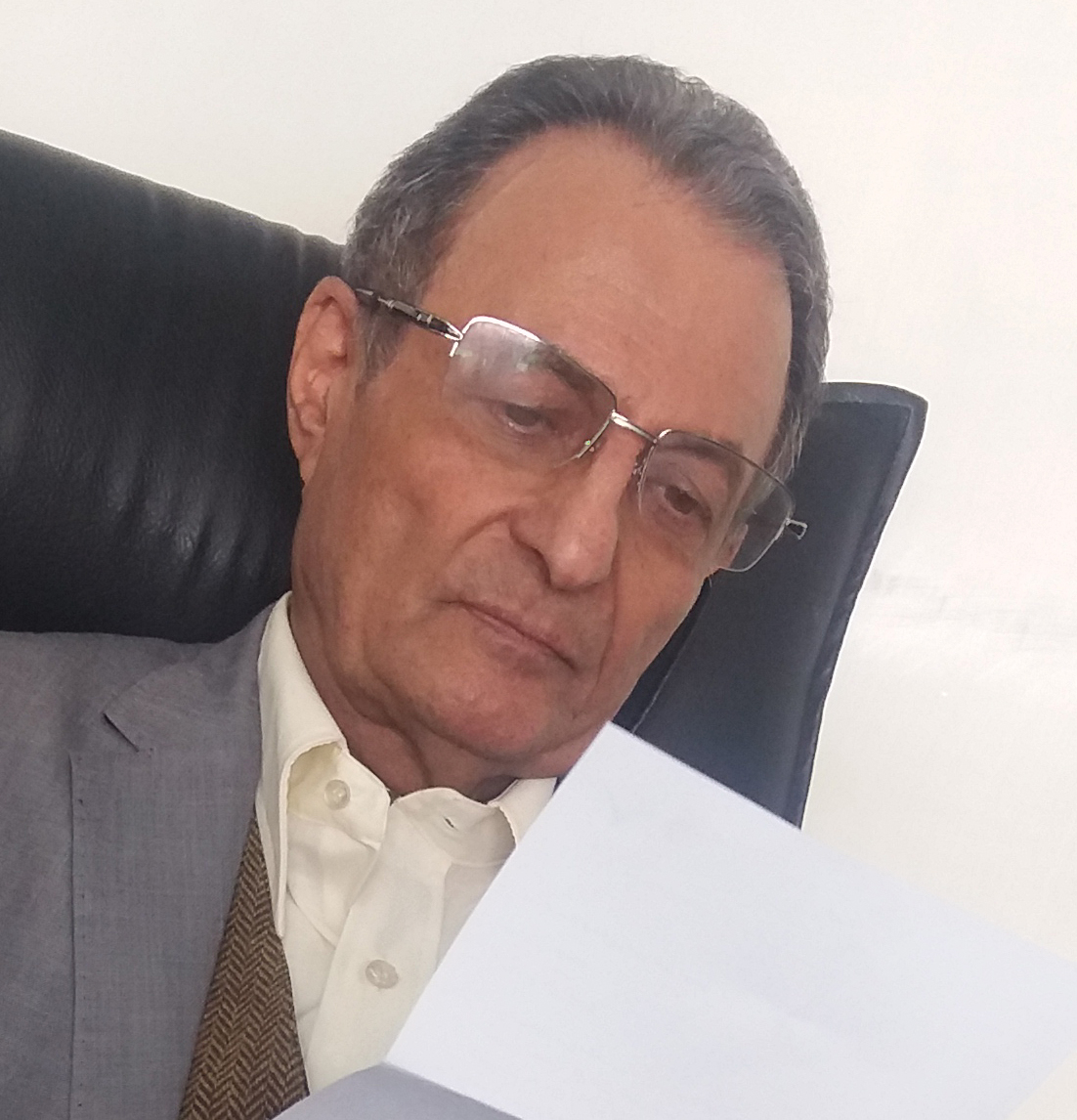 دکتر حسن احمدی