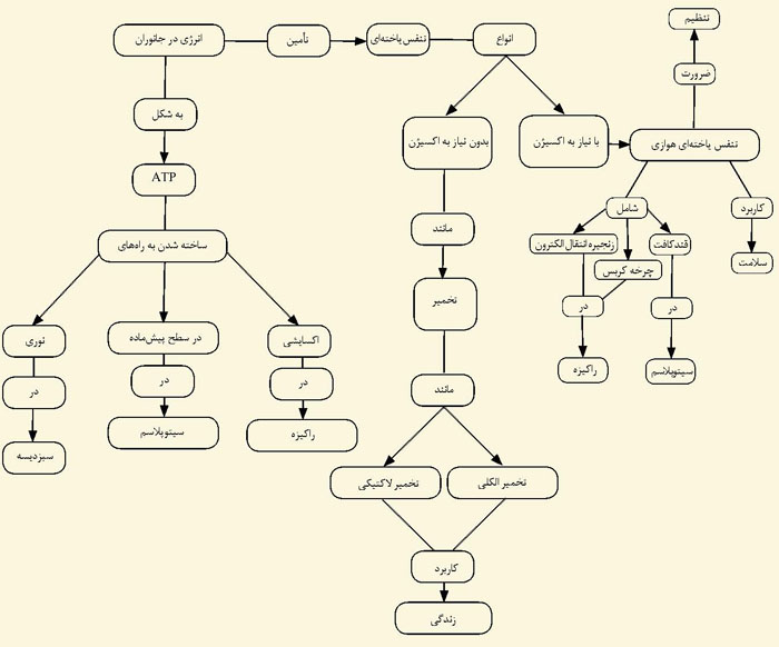 شکل ۱. نقشه‌ مفهومی