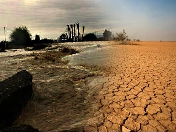 دریاچه هامون