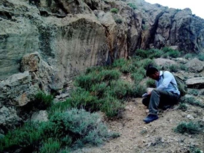 تصویر ۲: گسل در منطقه اسدیه (خراسان جنوبی)