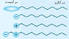 انواع مواد فعال سطحی