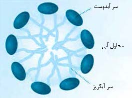 تشکیل میسل