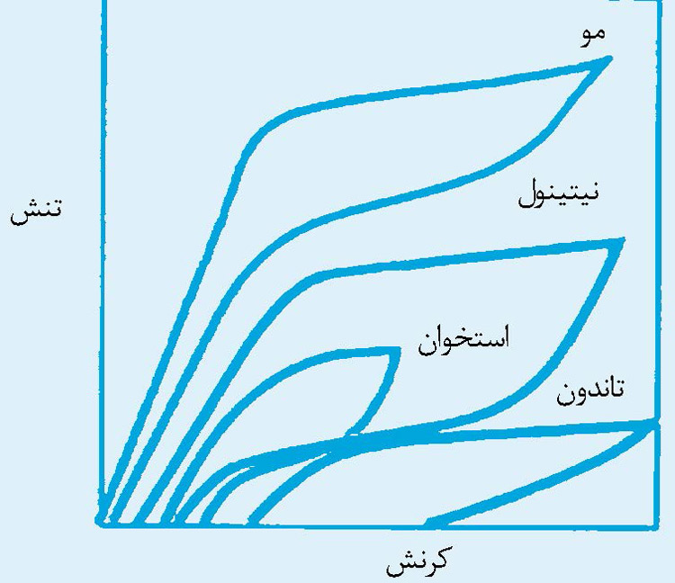مقایسه رفتار مکانیکی نیتینول و اعضای بدن