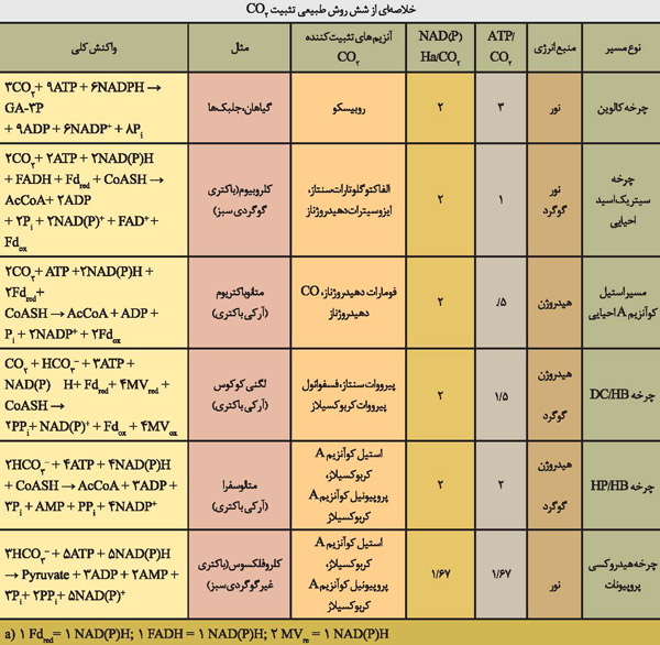 خلاصه ای از شش روش طبیعی تثبیت co2