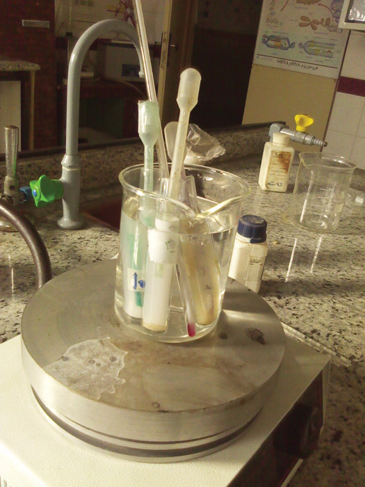 آنزیم پراکسیداز