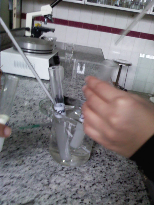 آنزیم پراکسیداز