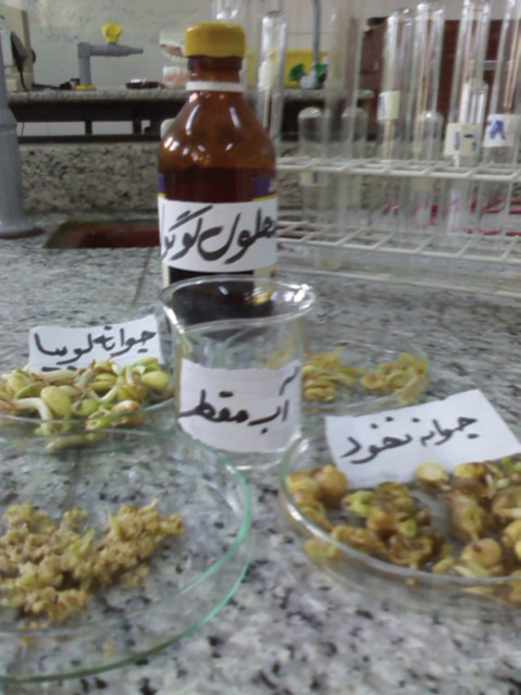 آنزیم پراکسیداز