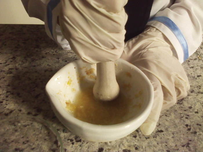 آنزیم پراکسیداز