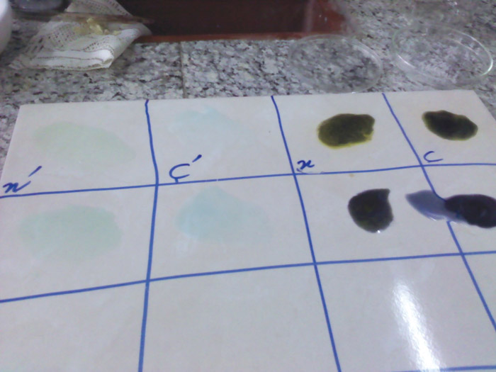 آنزیم پراکسیداز