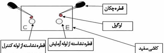 آنزیم پراکسیداز