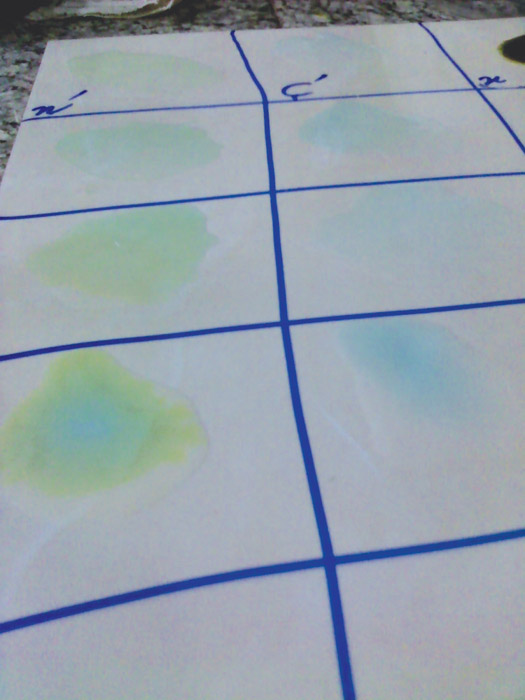 آنزیم پراکسیداز